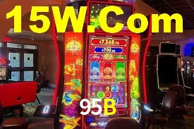 95B App Interface