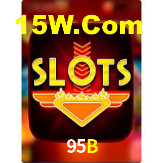 Segurança e privacidade no APP 95B